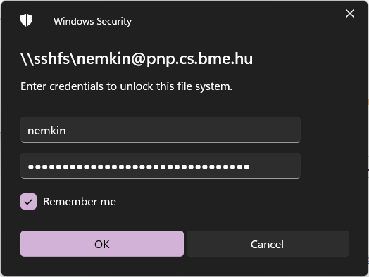 Login credentials window