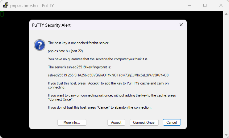 PuTTY security alert